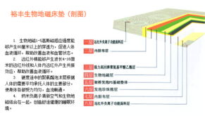 泰安市裕豐科技 融合計(jì)算機(jī)技術(shù)開(kāi)發(fā)，引領(lǐng)健康寢具新篇章